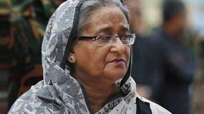 শেখ হাসিনার সরকার ভিন্নমতকে নিরাপত্তার জন্য হুমকি হিসেবে দেখত