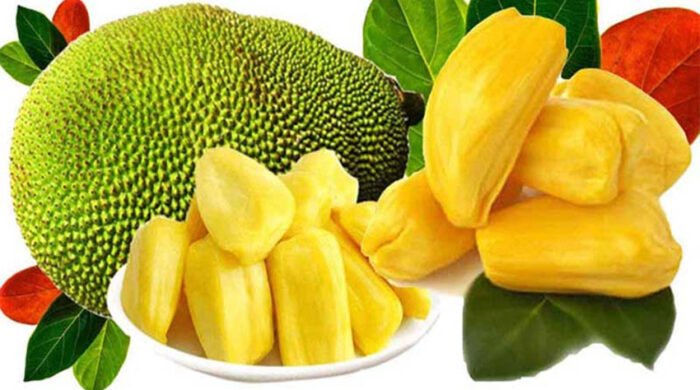 গ্রীষ্মে কাঁঠাল খাওয়ার ৬টি চমকপ্রদ উপকারিতা জানেন কি?